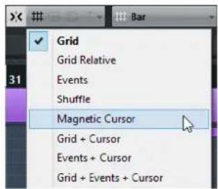 STEINBERG Cubase AI 9.5 - Snap Types - 1