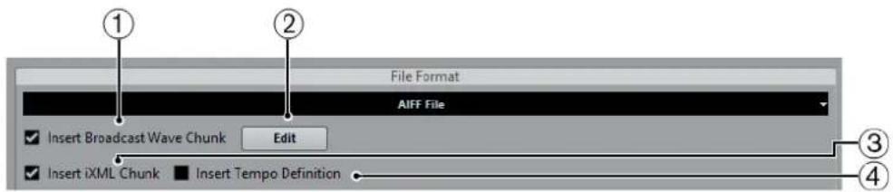 STEINBERG Cubase AI 9.5 - AIFF Files - 1