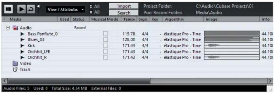 STEINBERG Cubase AI 9.5 - Pool Window - 1