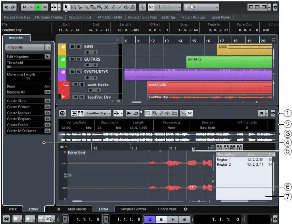 STEINBERG Cubase AI 9.5 - The Sample Editor window: - 2