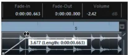 STEINBERG Cubase AI 9.5 - NOTE - 1