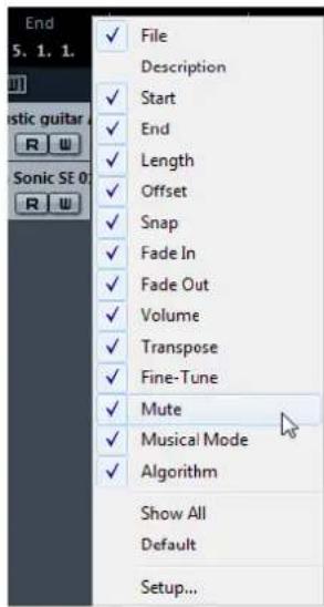 STEINBERG Cubase AI 9.5 - Setup Context Menus - 1
