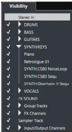 STEINBERG Cubase AI 9.5 - Visibility Tab - 1
