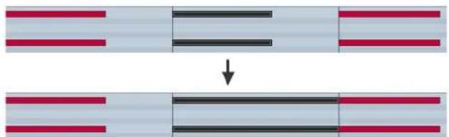 STEINBERG Cubase AI 9.5 - RESULT - 1