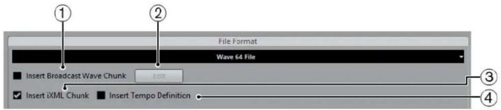 STEINBERG Cubase AI 9.5 - Wave 64 Files - 1