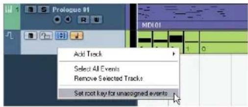 STEINBERG Cubase Studio 5 - If the events do not contain root key information - 1