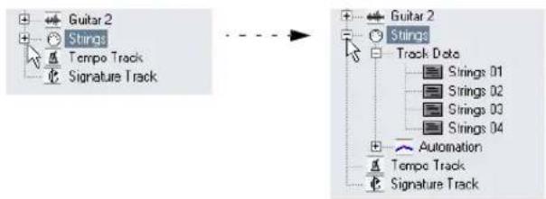 STEINBERG Cubase Studio 5 - Navigating in the Browser - 2
