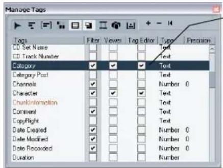 STEINBERG Cubase Studio 5 - Managing the tag lists - 1