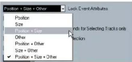 STEINBERG Cubase Studio 5 - Lock Options Description - 1