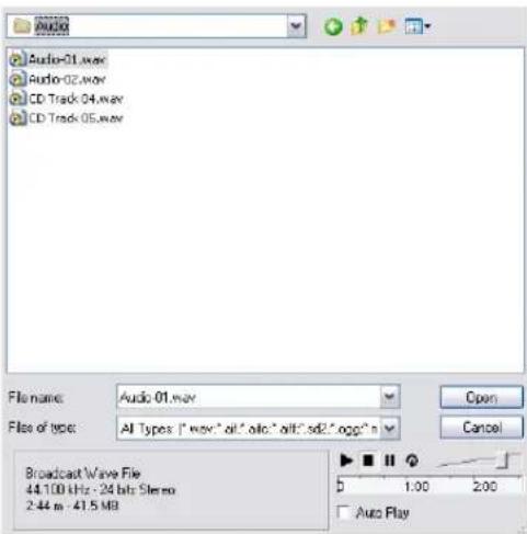 STEINBERG Cubase Studio 5 - About the Import Medium dialog - 1
