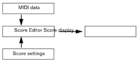 STEINBERG Cubase Studio 5 - How the Score Editor operates - 1