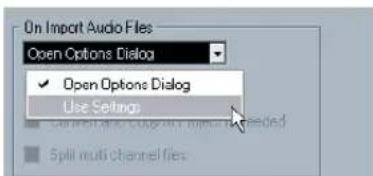STEINBERG Cubase Studio 5 - Audio file import options - 1