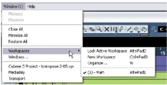 STEINBERG Cubase Studio 5 - Workspaces - 1