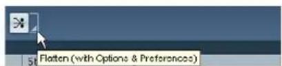 STEINBERG Cubase Studio 5 - Flattening options - 1