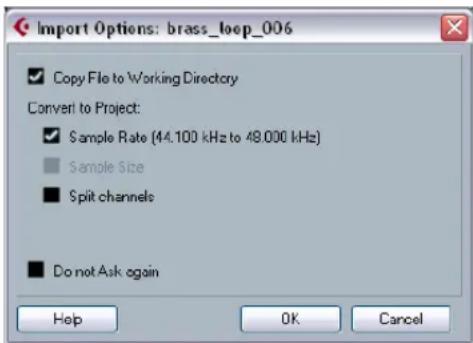 STEINBERG Cubase Studio 5 - About the Import Medium dialog - 2