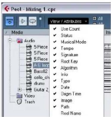 STEINBERG Cubase Studio 5 - Customizing the view - 1
