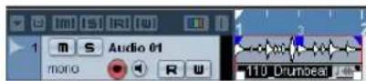 STEINBERG Cubase Studio 5 - AudioWarp: Tempo matching audio - 5