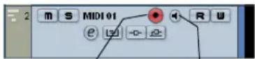 STEINBERG Cubase Studio 5 - Activating MIDI Thru - 1