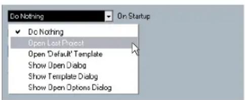 STEINBERG Cubase Studio 5 - Startup Options - 1