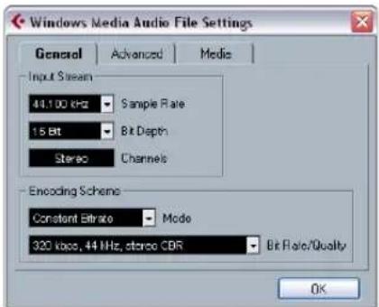 STEINBERG Cubase Studio 5 - Windows Media Audio Pro files (Windows only) - 1
