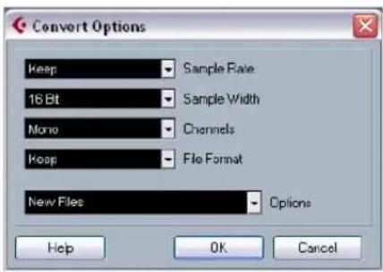 STEINBERG Cubase Studio 5 - Convert Files - 1