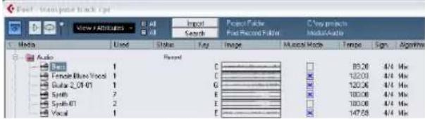 STEINBERG Cubase Studio 5 - If the events already contain root key information - 2