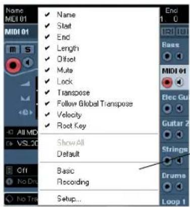 STEINBERG Cubase Studio 5 - The setup context menus - 1