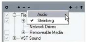 STEINBERG Cubase Studio 5 - Browse Selection Presets - 1