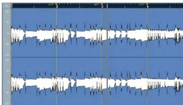 STEINBERG Cubase Studio 5 - Free Warp - 1