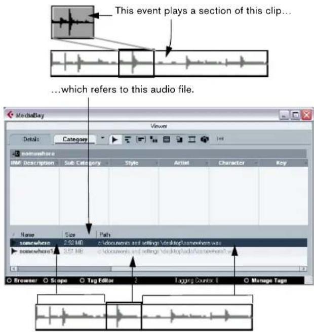 STEINBERG Cubase Studio 5 - Background - 1