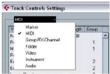 STEINBERG Cubase Studio 5 - Setting the track type - 1