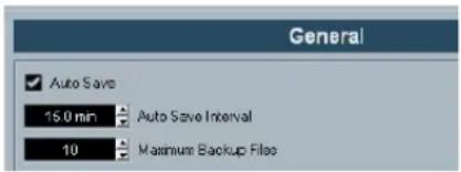 STEINBERG Cubase Studio 5 - Auto Save - 1