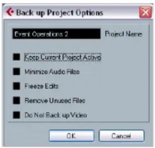 STEINBERG Cubase Studio 5 - Back up Project - 1