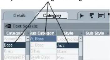 STEINBERG Cubase Studio 5 - Performing a Category search - 2