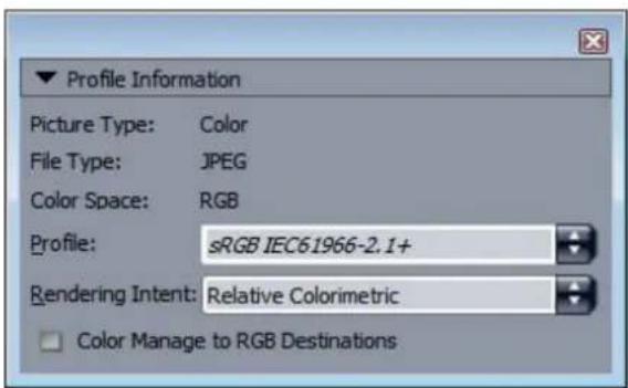 QUARK XPress 2015 - Profile Information palette - 1