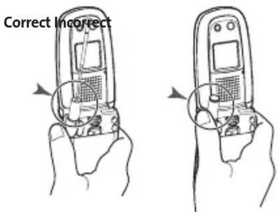 Correct Incorrect