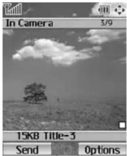 In Camera 3/9 15KB Title-3 Send Options