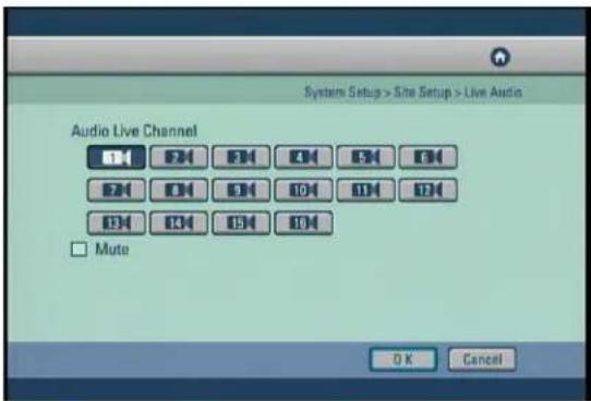 Digital Watchdog DW716N-1000 - Live Audio - 1