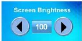 Screen Brightness 100