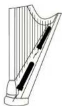C-Ducer B1000 - HARP: - 1