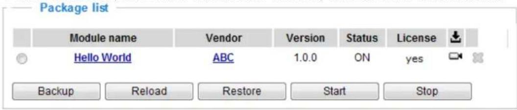Vivotek Turret Dome IT9389-H - Applications > Package management - a.k.a., VADP (VIVOTEK Application Development Platform) - 3