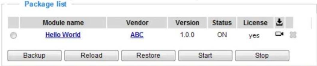 Vivotek Turret Dome IT9388-HT - Applications > Package management - a.k.a., VADP (VIVOTEK Application Development Platform) - 3