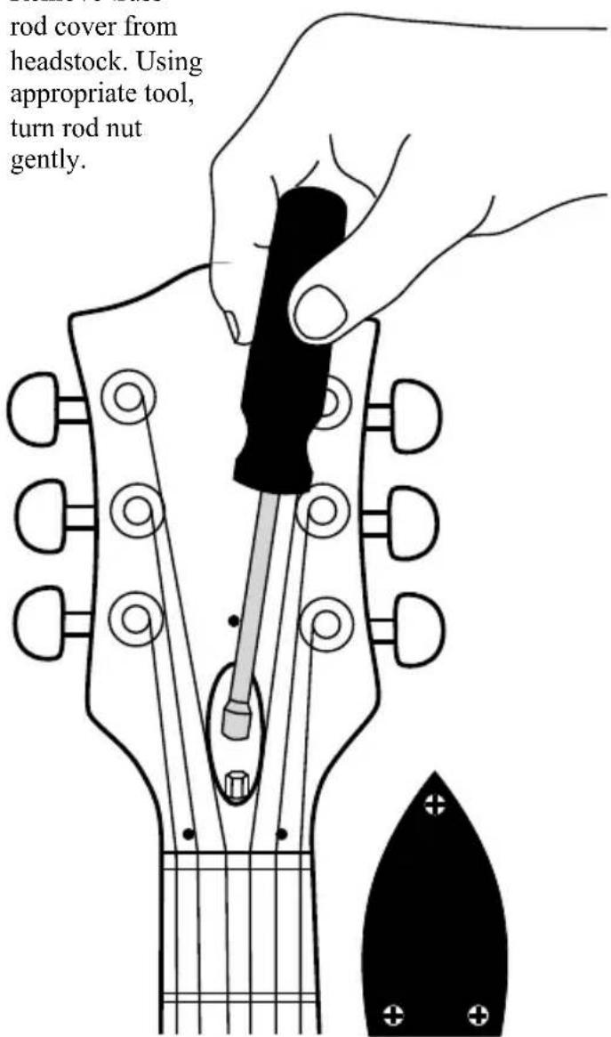 Gretsch Roots Bobtail G9221 - Illustration 4. - 1