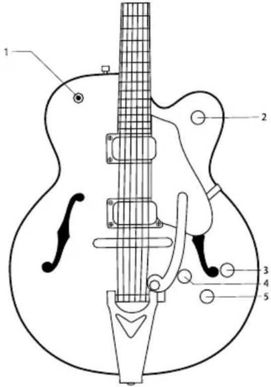 Gretsch Professional Falcon G6139CB - Gretsch® Basic Controls Guide - 1