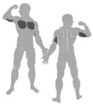 TAURUS Chest Press IT95 - Exercise Instructions - 3