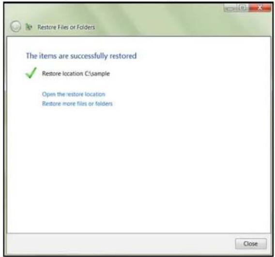 WESTERN DIGITAL Sentinel DS5100 - RestoringWindowsPCComputers - 4