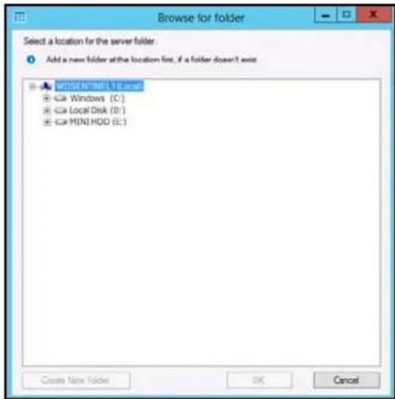 WESTERN DIGITAL Sentinel DS5100 - TosharedataonaUSBdrive: - 2
