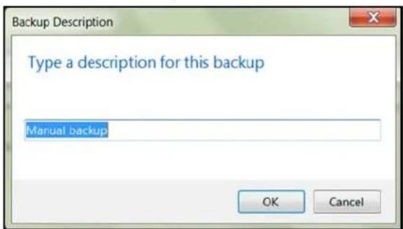 WESTERN DIGITAL Sentinel DS6100 - BackupUsingtheLaunchpad - 2