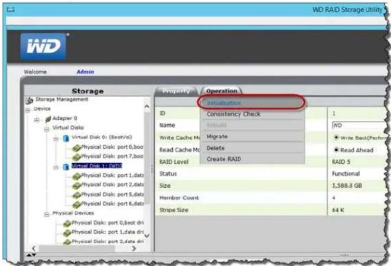 WESTERN DIGITAL Sentinel DS6100 - Initialization - 2