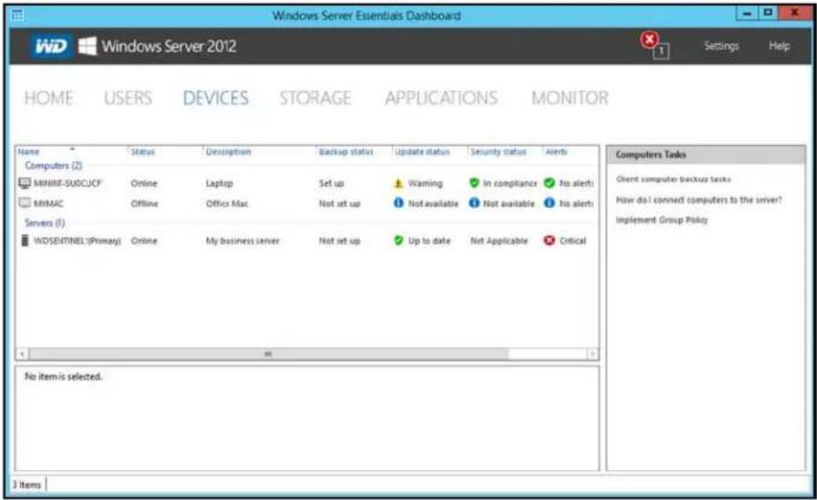 WESTERN DIGITAL Sentinel DS6100 - ManagingDevices - 1